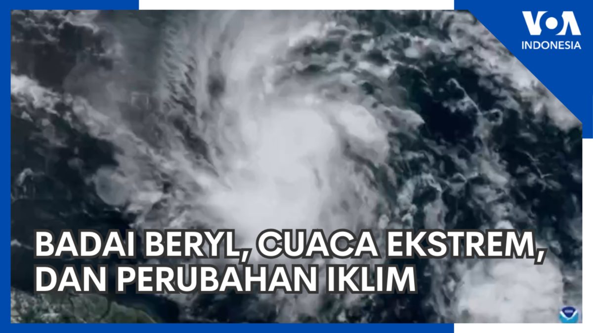 Badai Ekstrem dan Lonjakan Dollar: Dampak Ganda pada Ekonomi serta Kehidupan Sehari-hari di Mesir