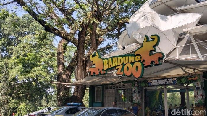 Bandung Zoo Tutup Saat Lebaran, Wali Kota Farhan Beri Rp1 Juta untuk Pegawai Pasca Kematian Harimau Bengal