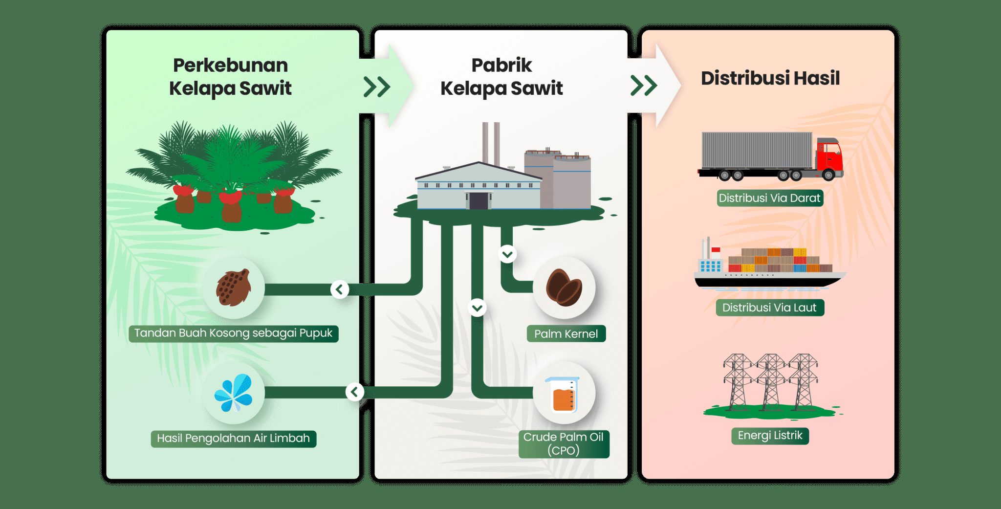 Inovasi Serangga Penyerbuk: Solusi Hijau untuk Kelapa Sawit dan Kebun Rumah di Indonesia