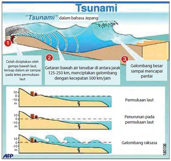 Mengenal Tsunami: Penyebab, Dampak, dan Hubungannya dengan Gempa Bumi Tapanuli