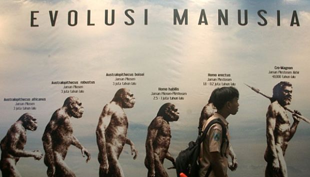 Misteri Manusia Purba Terungkap: Dari Captorhinus hingga Evolusi Awal Manusia