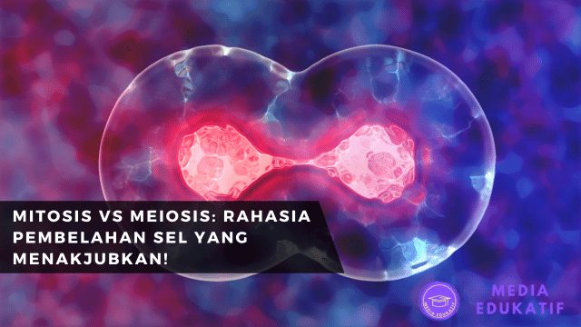 Mitosis vs Meiosis: Mengungkap Rahasia Pembelahan Sel yang Menentukan Kehidupan