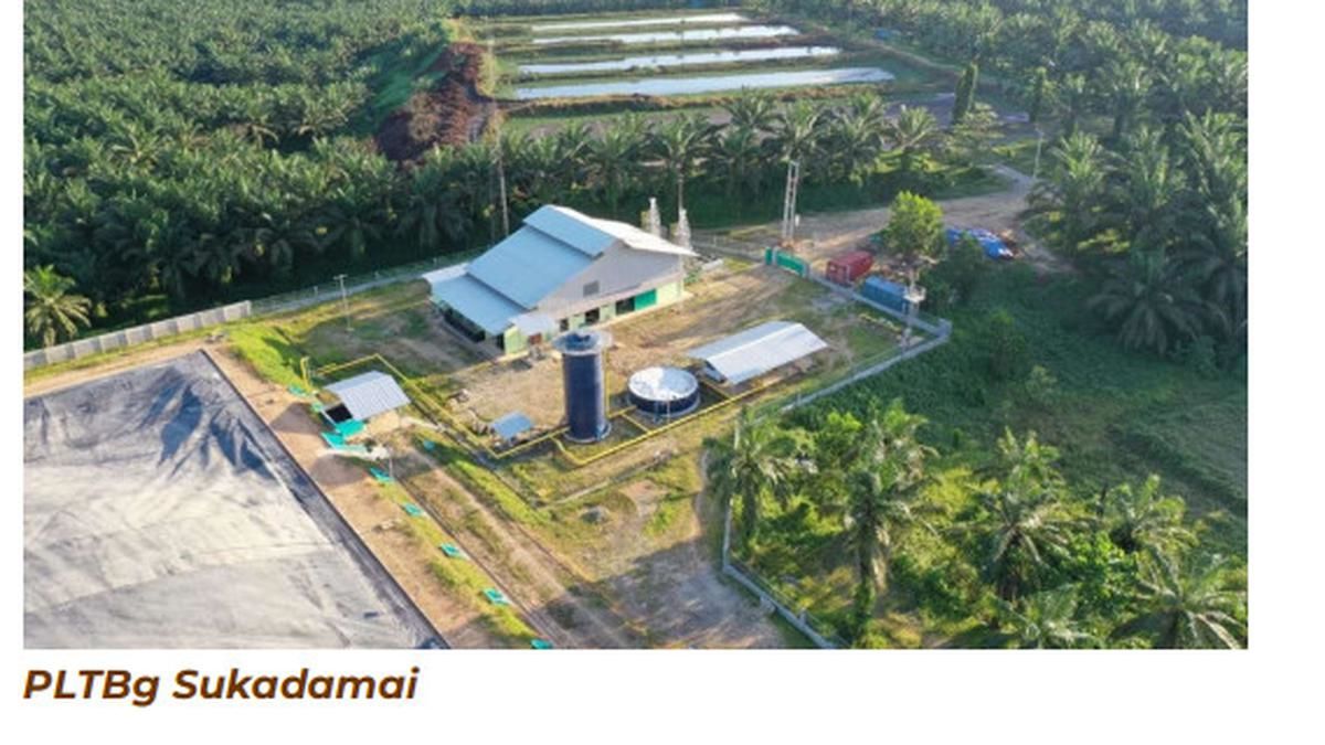 Emiten Berita Terkini: Emiten BWPT Resmi Masuk Konstituten Indeks ESG-KEHATI, Emiten Grup Saratoga Bagikan Dividen Jumbo