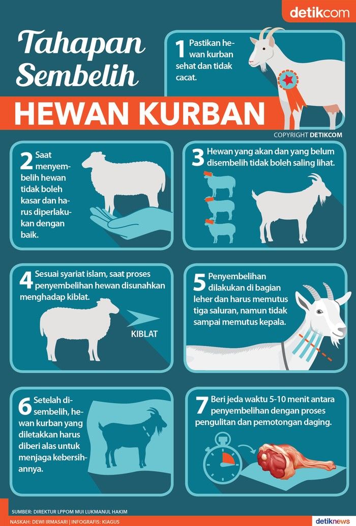 Mengenal Doa dan Tata Cara Menyembelih Hewan Kurban di Hari Raya Idul Adha