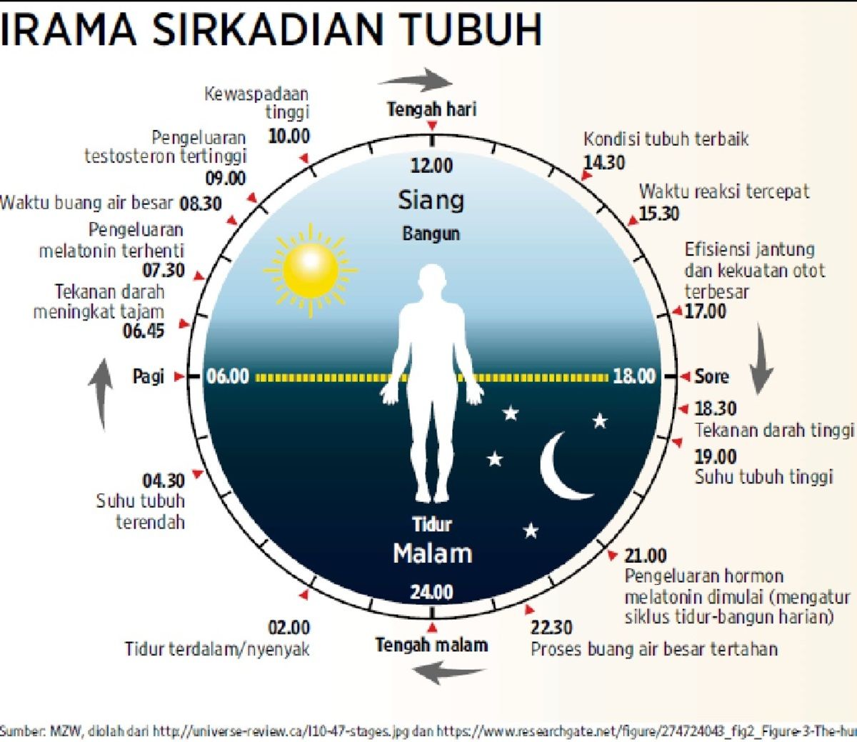 Antara Ritme Tubuh dan Dinamika Kota: Mengupas Pentingnya Kualitas Tidur Hingga Fenomena Urban di Jakarta