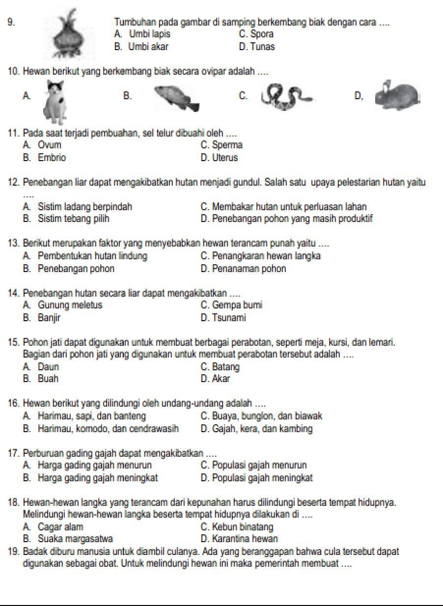 Contoh Soal IPA Kelas 6 SD Persiapan Ujian Kelulusan Sekolah