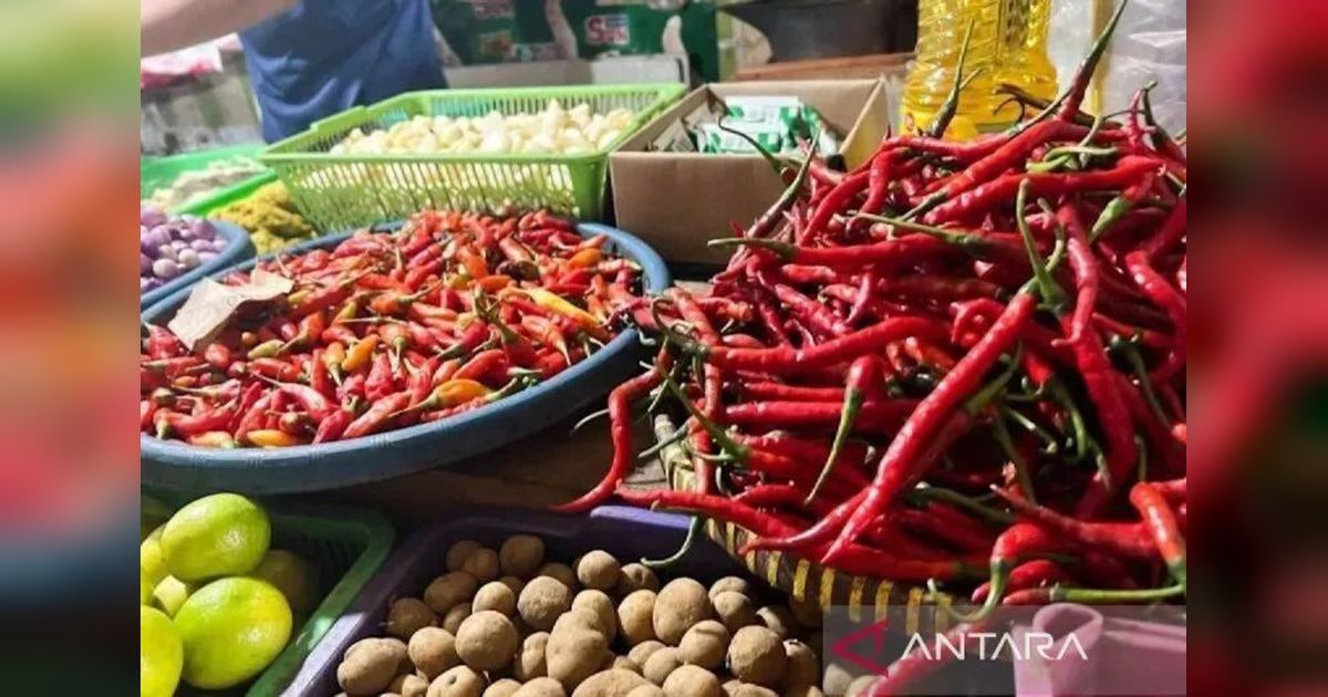 Dilema Pangan Nasional: Cabai Rawit Anjlok, Beras Melonjak, dan Keluhan BBM di Tengah Fluktuasi Harga
