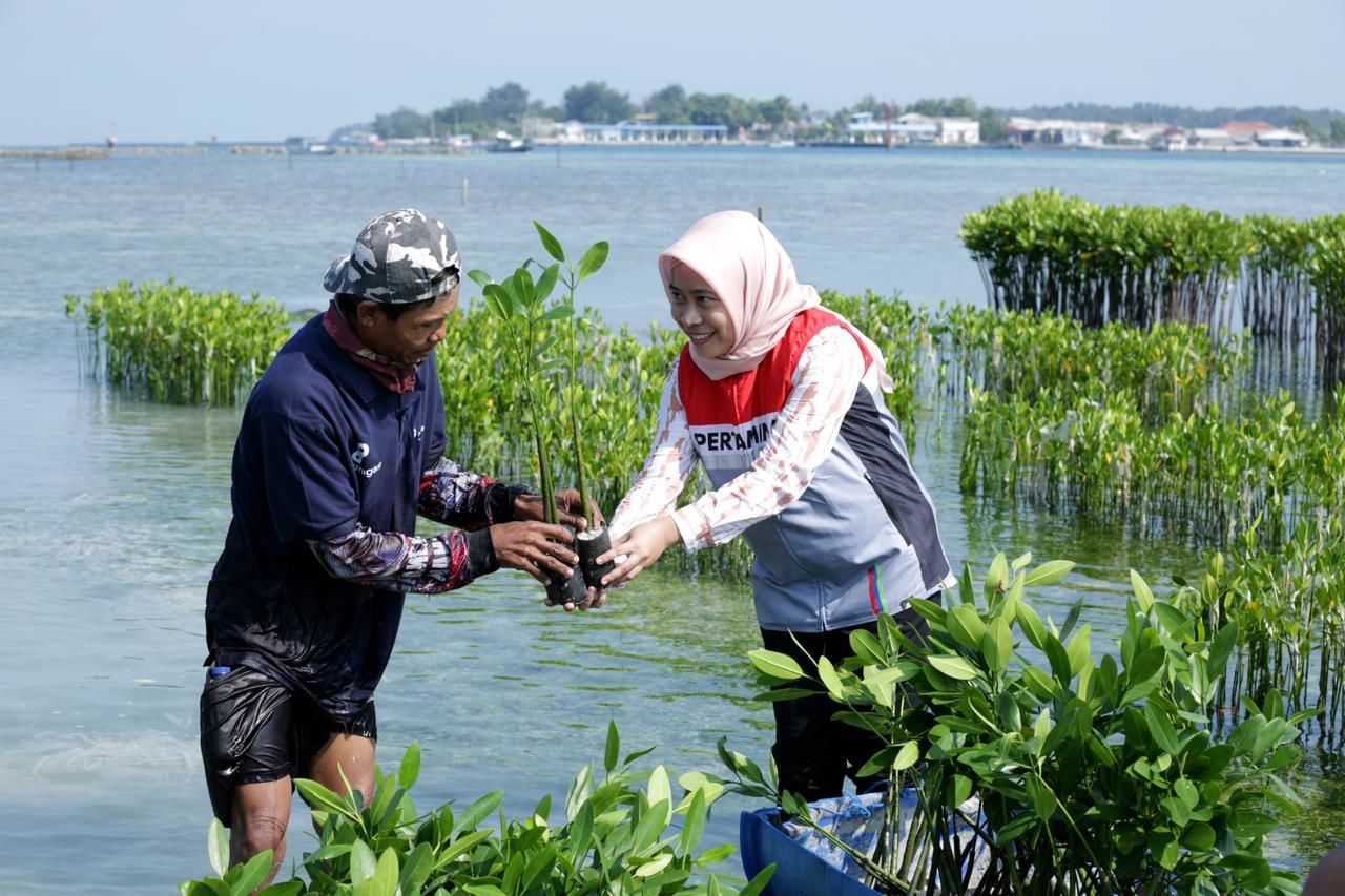 Aksi Hijau di Pesisir NTB: PTFI Tanam 1,5 Juta Bibit Mangrove Demi Masa Depan
