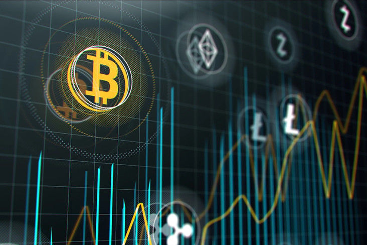 Badai Keamanan Menguji Ekosistem Cardano di Tengah Lonjakan Pasar Kripto Global