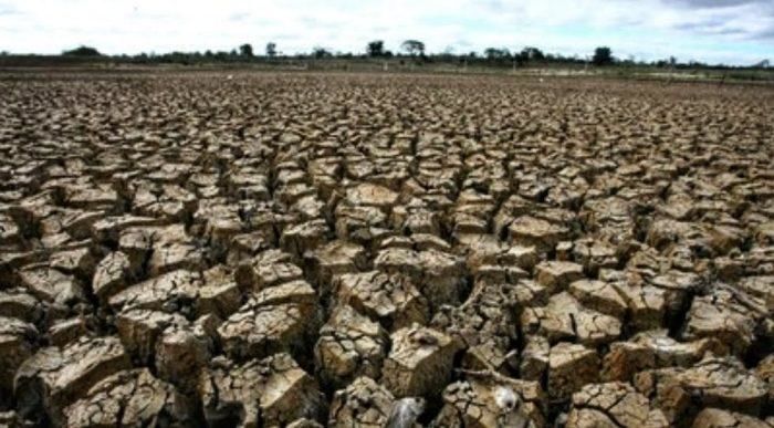 Fenomena Cuaca Ekstrem dan Keajaiban Flora Fauna di Tengah Musim Kemarau