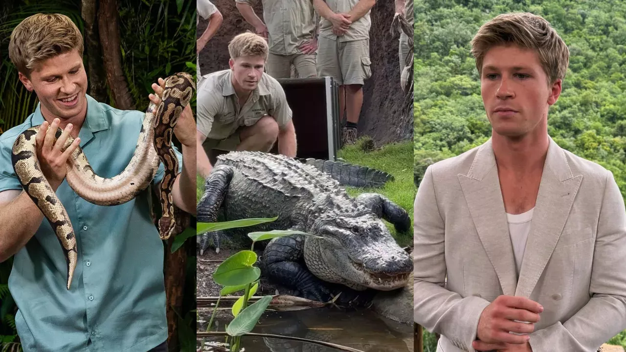 From Ballroom Star to Jungle King: Robert Irwin’s Explosive Career Evolution