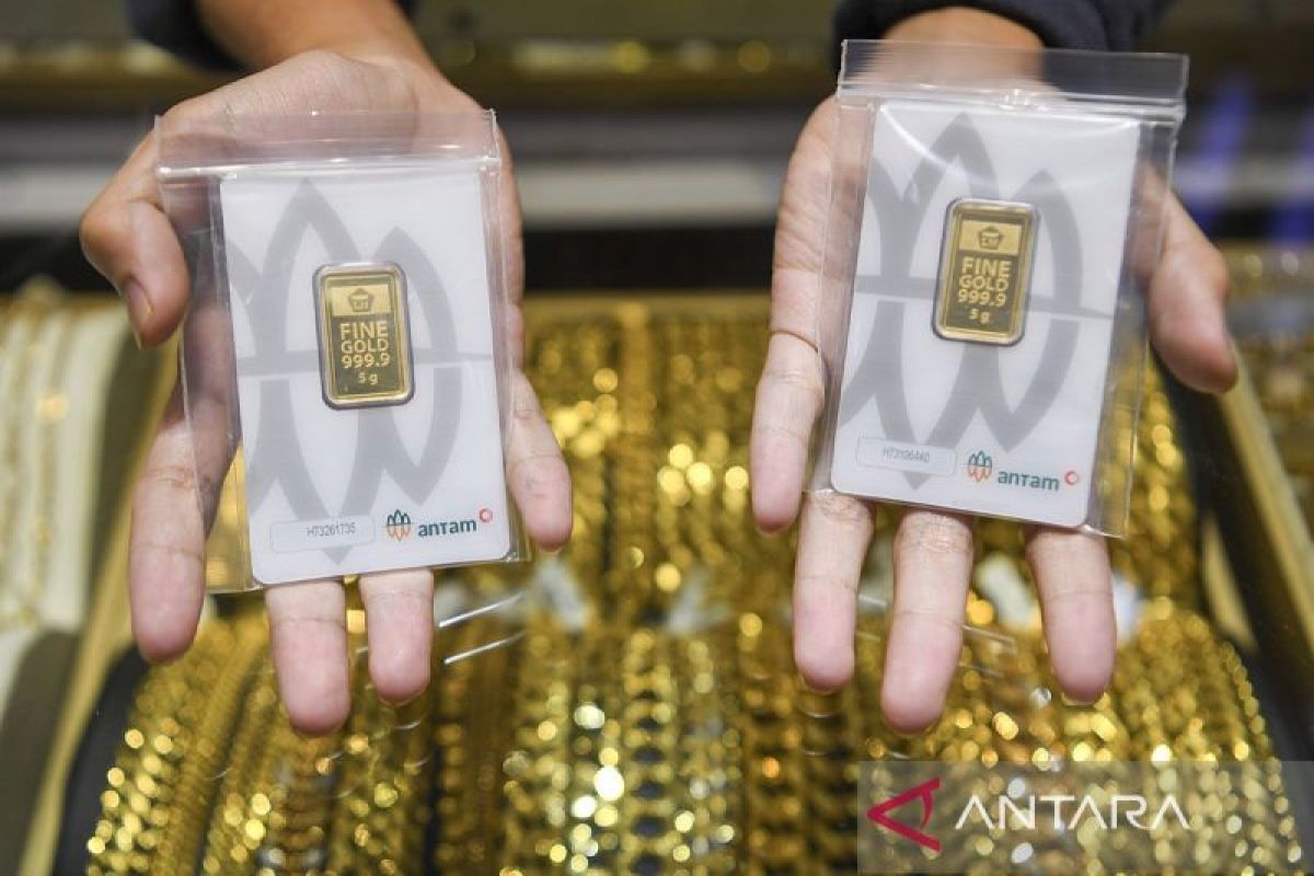 Harga Emas di Kepulauan Riau Masih Bertengger Tinggi, Simak Strategi Cermat Sebelum Membeli