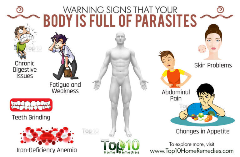 Hidden Danger in Your Salad: What You Need to Know About the Latest Parasite Warning