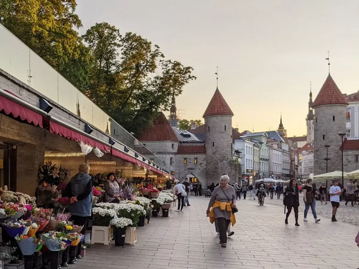 Malam Penentuan Eropa: Flora Tallinn dan Levadia Tallinn Siap Beraksi di Panggung Kontinental