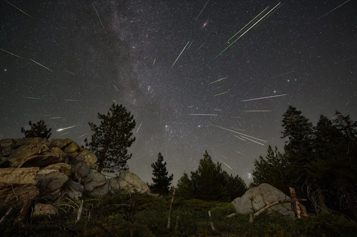 Stargazer's Dream: How to Witness the Spectacular 2026 Perseids Meteor Shower