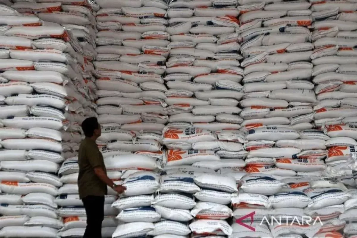 Stok Aman Melimpah, Pemerintah Pastikan Harga Beras Nasional Tetap Terkendali