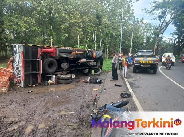 Tragedi Jalan Raya di Falkenbergs: Kecelakaan Maut Melibatkan Hewan Liar Guncang Wilayah Halland