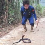 aksi-heroik-pria-di-china-tangkap-20-ular-sehari-pakai-tangan-kosong-demi-keamanan-warga-150x150 Ensiklopedia