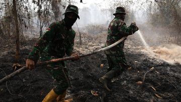 Ancaman Tersembunyi Karhutla: Bahaya Lahan Gambut yang Membara Tanpa Asap