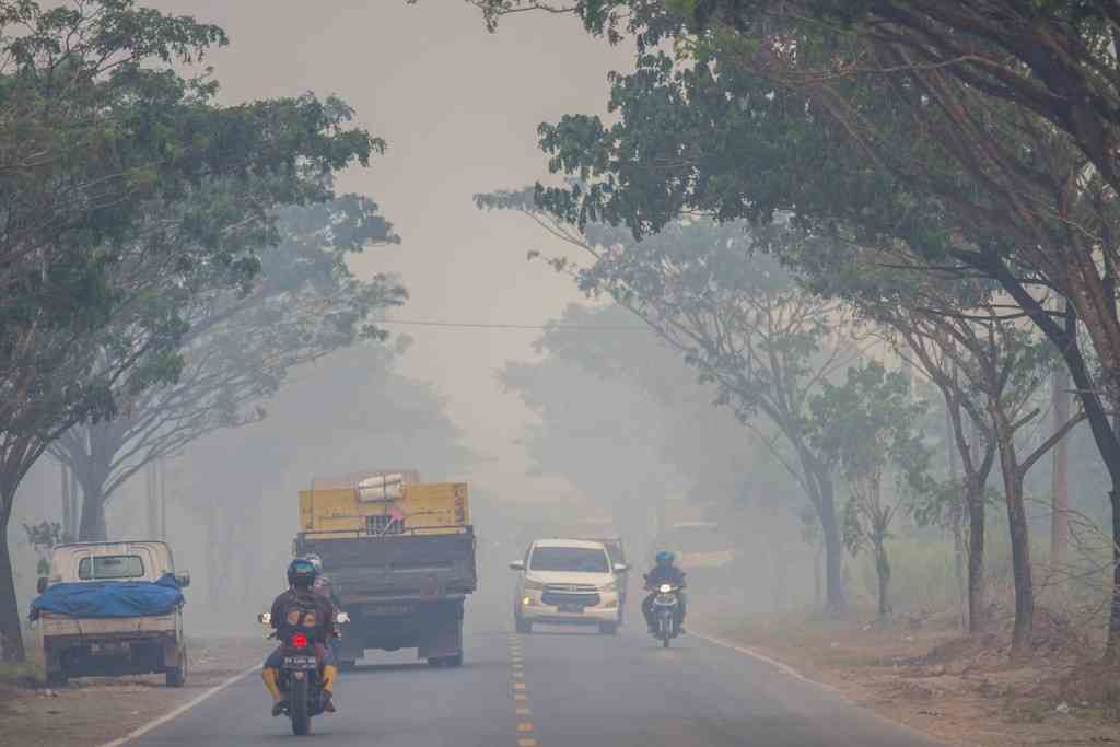 Asap Karhutla Kalimantan Menembus Negara Tetangga: BMKG Ungkap Penyebab Alamiah di Balik Fenomena Lintas Batas