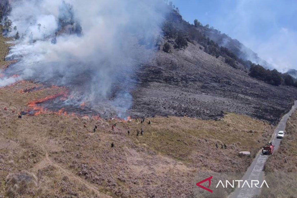 Bromo Membara: Kebakaran Hutan Meluas, Akses Taman Nasional Ditutup Total