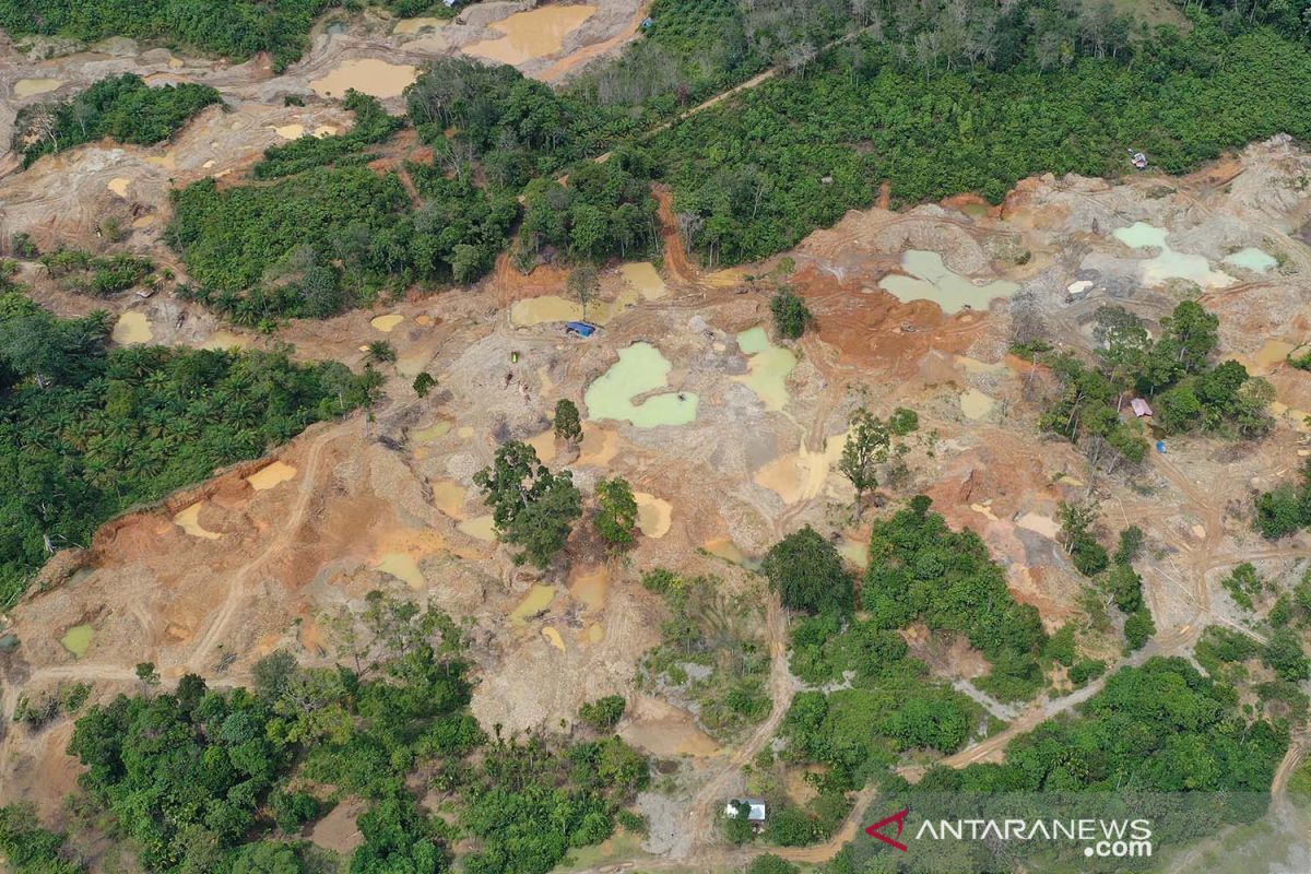 Dilema Emas: Antara Tragedi Maut di Afrika, Praktik Ilegal di Indonesia, dan Ambisi Ekosistem Bulion