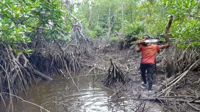 Dilema Gavi: Dari Kontroversi Lapangan Hijau hingga Peran Vital Gavi dalam Ketahanan Kesehatan Global