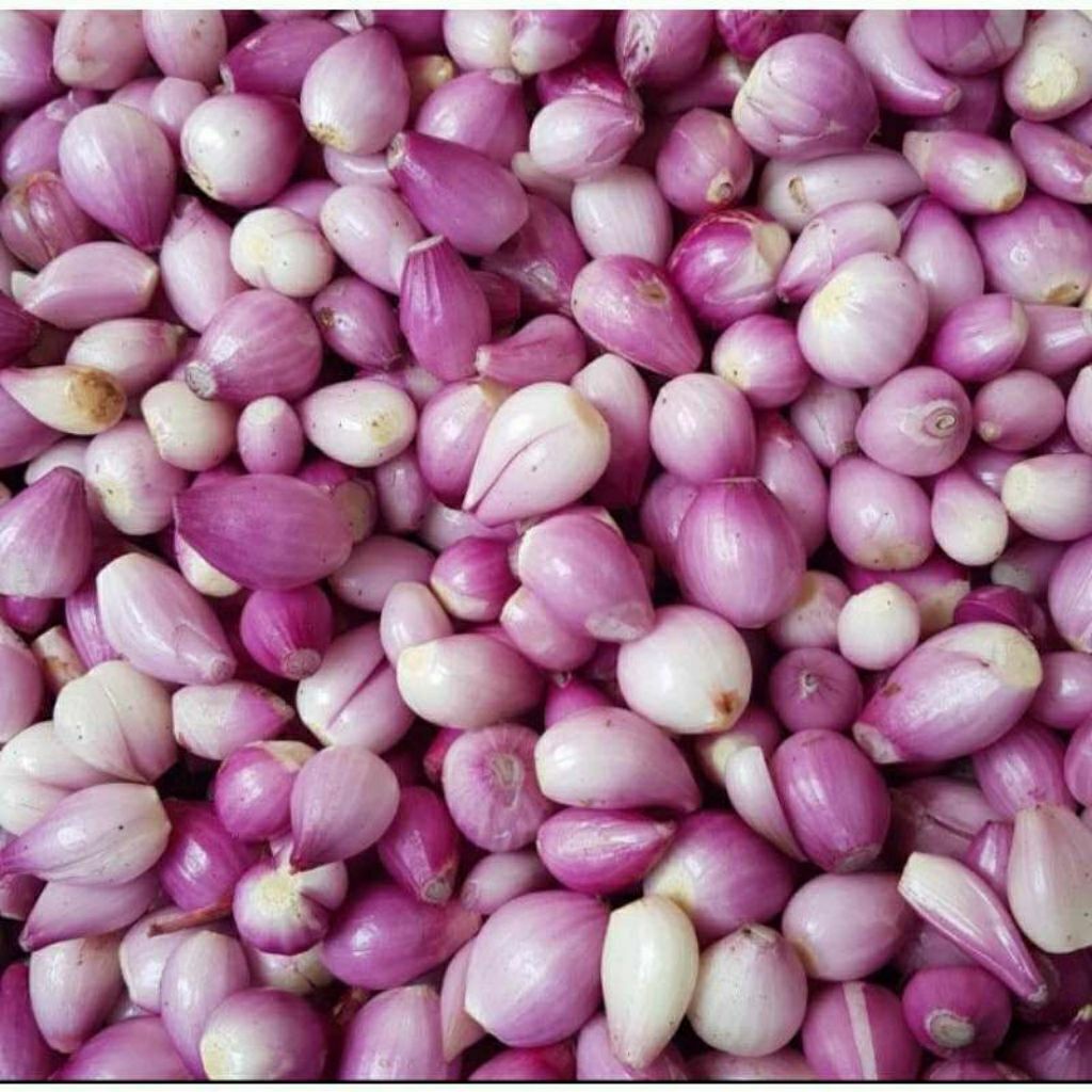 Fakta di Balik Viral 'Kupas Bawang 700 Ribu': Profesi Asli Susanah Ternyata Berbeda Jauh