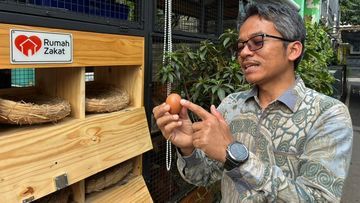 Inovasi Lingkungan RT 08 Malaka Jaya: Dari Budidaya Ikan Hingga Raih Penghargaan Internasional