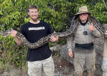 Inspiratif! Kisah Tom Rahill, Sosok Kakek Usia 69 Tahun yang Juara Berburu Ular Piton di Florida