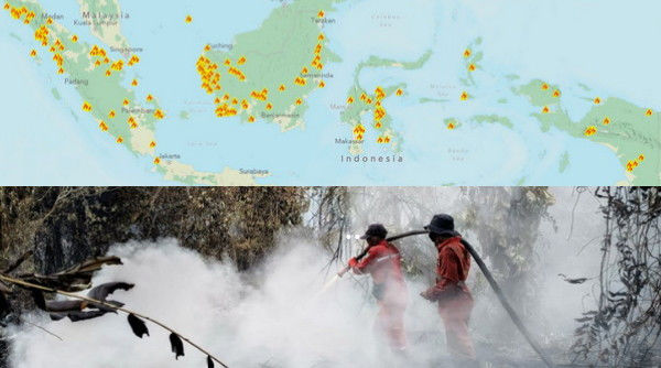 Kalimantan Membara: Ribuan Titik Api Melanda, Krisis Karhutla Ancam Kesehatan dan Lingkungan