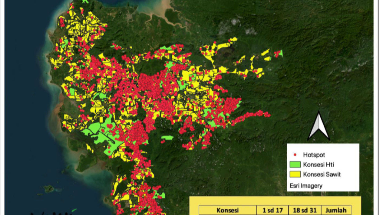Kalimantan Membara: Titik Api Masif di Google Maps dan Ancaman Krisis Ekologis yang Mengintai