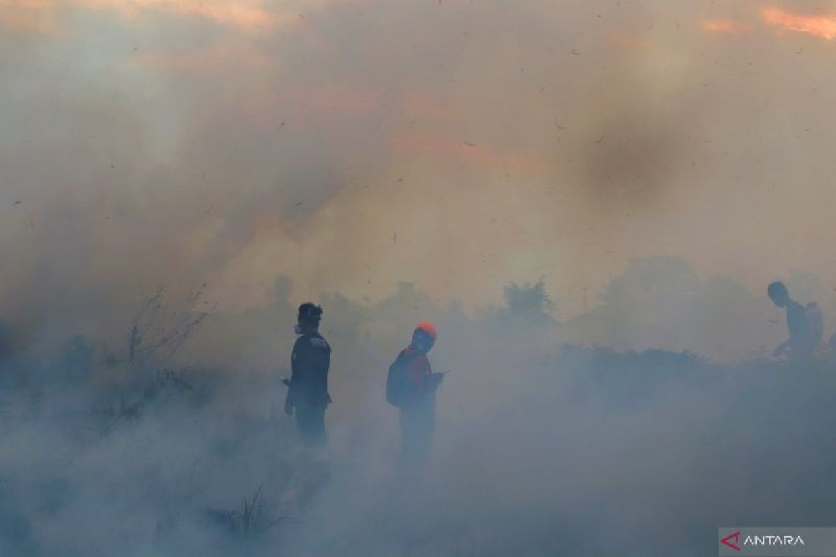 Kontroversi Pesta Mewah di Tengah Kabut Asap: Sorotan Tajam Publik Terhadap Istri Sekda Kalsel