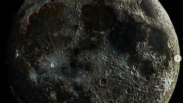 Mikroba Bumi Bisa Hidup di Bulan Ilmuwan Mulai Khawatir: Apa Artinya untuk Penjelajahan Antariksa?
