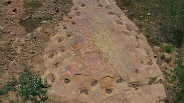 Misteri Evolusi: Penemuan Jejak Kaki Dinosaurus 150 Juta Tahun Ungkap Dugaan Berjalan Pincang