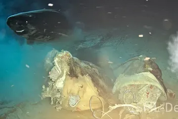 Misteri Laut Cina Selatan: Fenomena llmuwan Tenggelamkan Sapi di Laut Lalu Sosok Raksasa Muncul