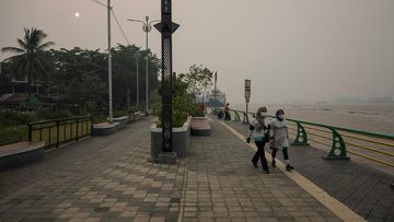 Satelit Pantau Kebakaran: Pemerintah Kini Pakai Teknologi Satelit Pantau Kebakaran Hutan di Indonesia