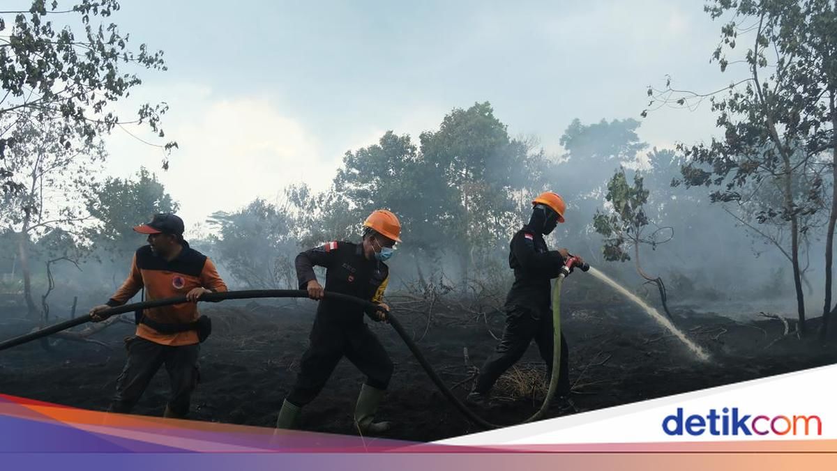 Tembus Titik Api Terisolasi: Strategi Tempur Prabowo Kerahkan Tim Alfa TNI Padamkan Karhutla