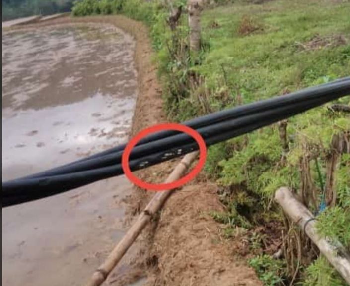 Tragedi di Pematang Sawah Sinjai: Mertua dan Menantu Tewas Terjang Jerat Listrik Pemburu Babi