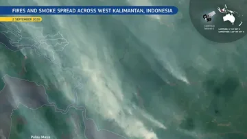 Deteksi Satelit Copernicus: Kebakaran Hebat di Ketapang Hasilkan Kabut Asap Tebal