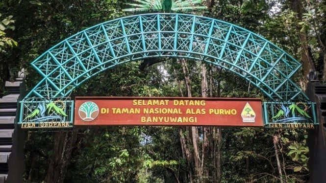 Dukungan Politis di Balik Lapangan Hijau: Heimir Hallgrimsson Apresiasi Sikap Tegas PM Irlandia