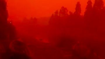 Fenomena Langit Oranye di Kalimantan: Mengapa Karhutla Mengubah Warna Langit?