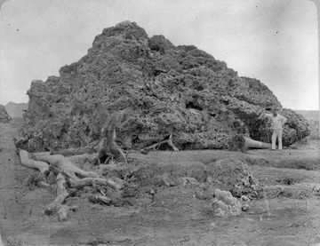 Letusan Krakatau 1883: Kejadian Langsung yang Menggemparkan Dunia dan Misteri di Baliknya
