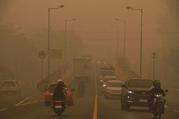 Aksi Solidaritas Digital: Warganet Pasang Foto Profil Berkabut Sebagai Simbol Perlawanan Terhadap Karhutla
