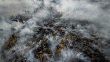 Analisis Krisis Lingkungan: Menguak Peran El Nino dalam Kebakaran Hutan yang Berlarut-larut