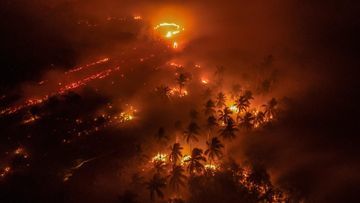Dampak Tersembunyi Karhutla: Mengapa Sungai dan Ekosistem Air Menjadi Korban?