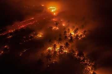 Darurat Kabut Asap: Mengapa Penanganan Karhutla Masih Terhambat?