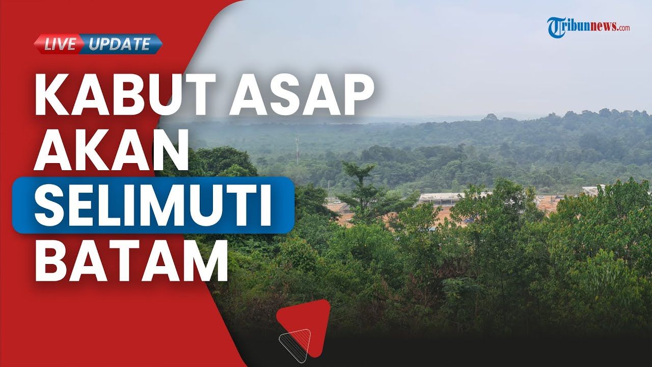 Dinamika Kota Batam: Dari Ancaman Kabut Asap hingga Ambisi Pusat Data dan Inovasi Transmigrasi