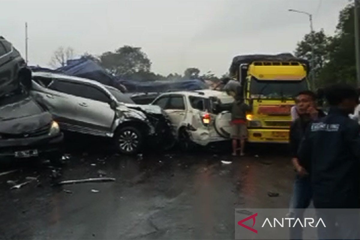 Dunia dalam Genggaman Kata 'Tank': Dari Tragedi Kecelakaan di Palmerah hingga Inovasi Fashion Hewan