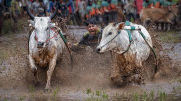Eksistensi Indonesia di Mata Dunia: Mohammed Muhtasib Raih Photographer of the Year 2026